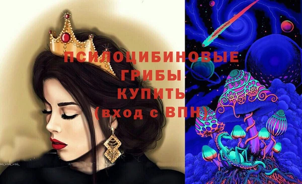 spice Балахна